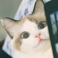 7ʥ  